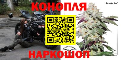 прущие грибы Тула